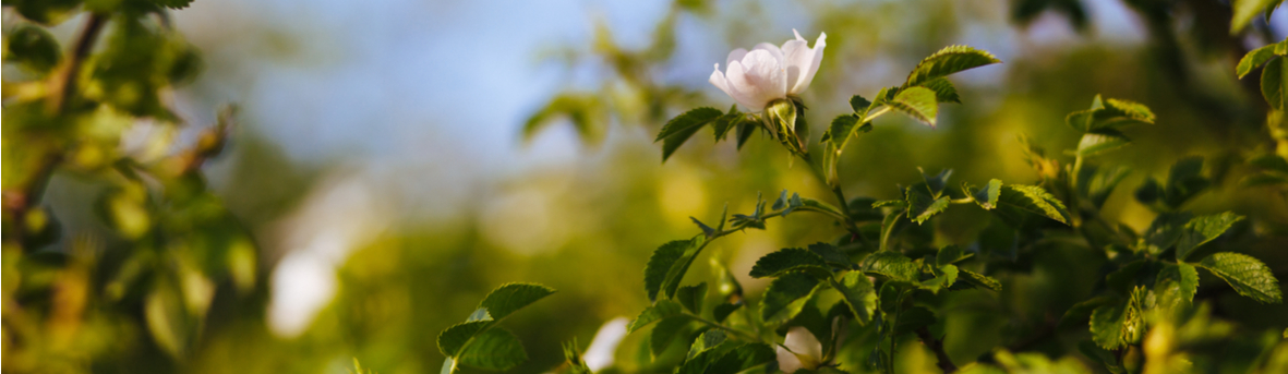 Geen diepte zien, diepte niet goed in kunnen schatten, moeite hebben met diepte inschatten