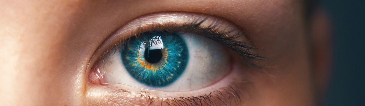 Gezwollen ooglid, oorzaak van gezwollen oogleden, wat kan ik doen tegen gezwollen oogleden. Hoe werkt het oog, anatomie van het oog, hoornvlies, netvlies, ooglens